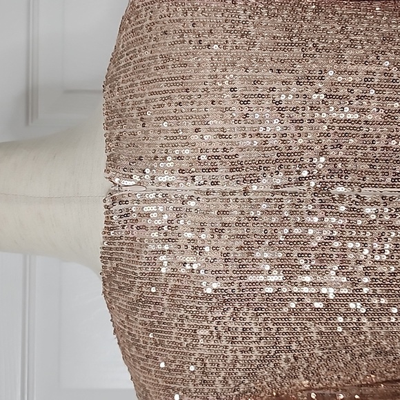 PRESTON & YORK WOMAN'S  SEQUINED DRESS.  SIZE 8 - Picture 5 of 11